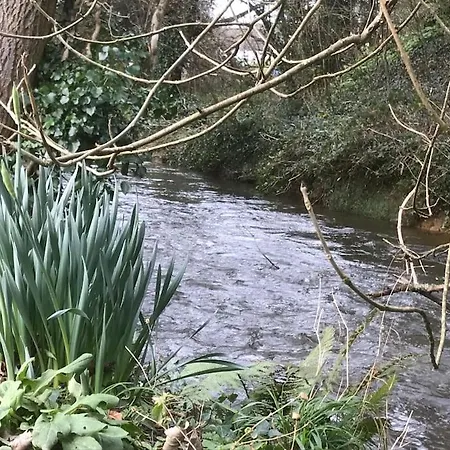 Gwills Countryside With Hot Tub Apartment Newquay (Cornwall)